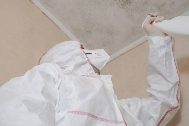 Trusted Fairport Harbor, OH Mold Remediation Experts